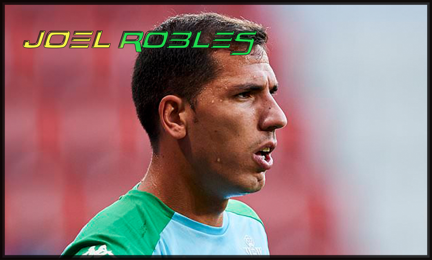 Joel Robles